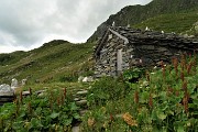 Anello Monti Tartano e Azzaredo, passando dal Bivacco Zamboni e dal Rifugio Balicco, il 17 luglio 2019- FOTOGALLERY